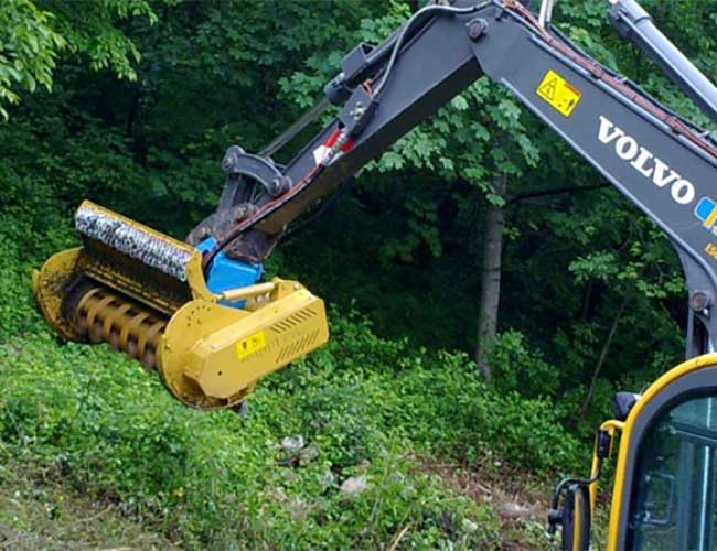 Decespugliazioni e deforestazioni