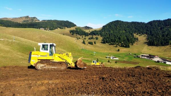 Ricomposizioni ambientali
