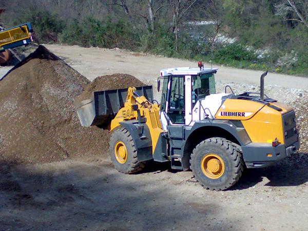 LIEBHERR 544